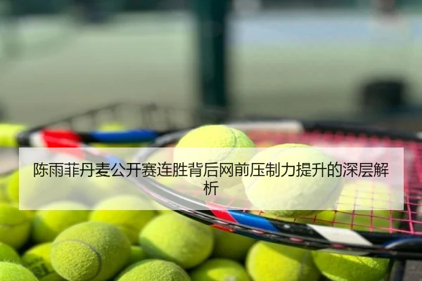 陈雨菲丹麦公开赛连胜背后网前压制力提升的深层解析